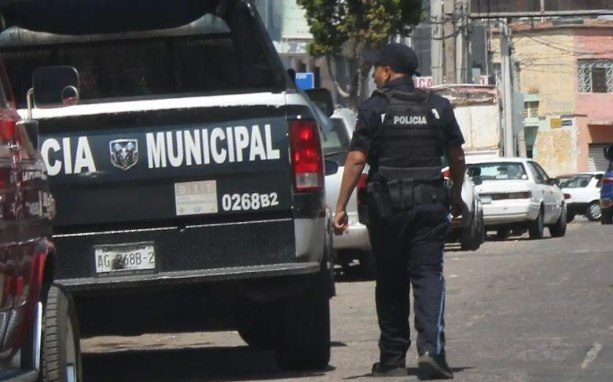 WhatsApp Image 2023-03-10 at 3.56.48 PM