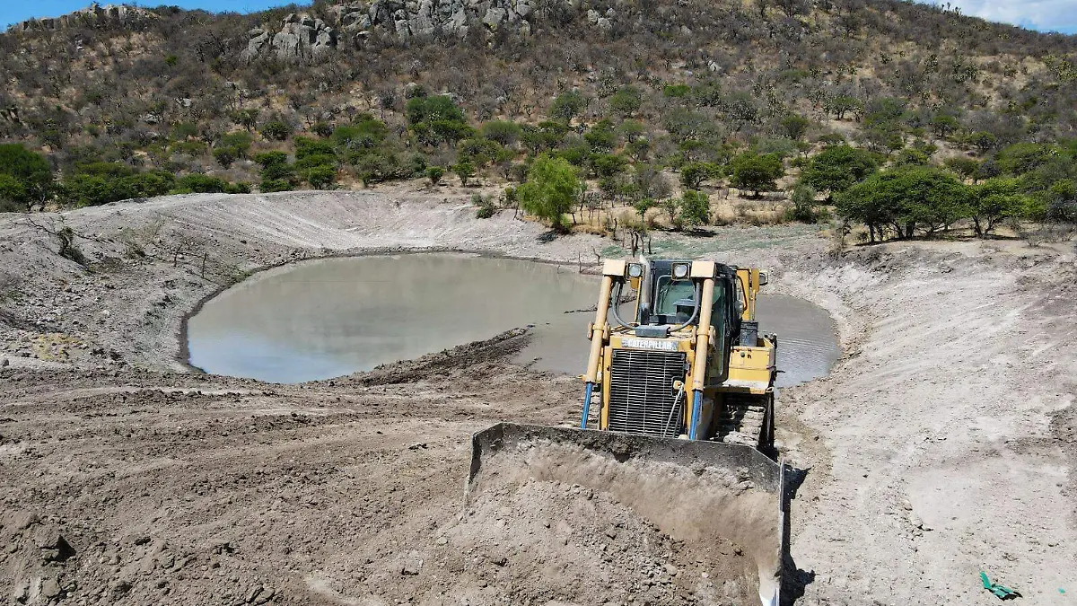 WhatsApp Image 2024-01-24 at 1.06.04 PM (2)