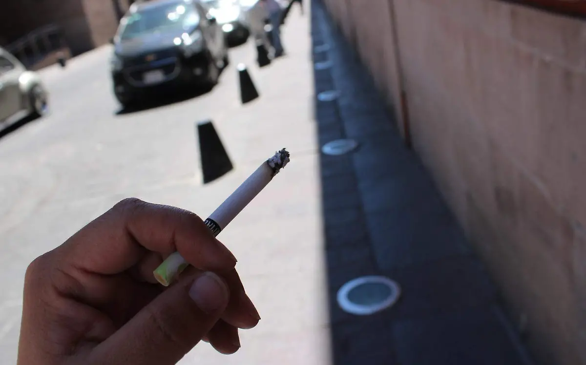 WhatsApp Image 2023-03-03 at 4.39.05 PM