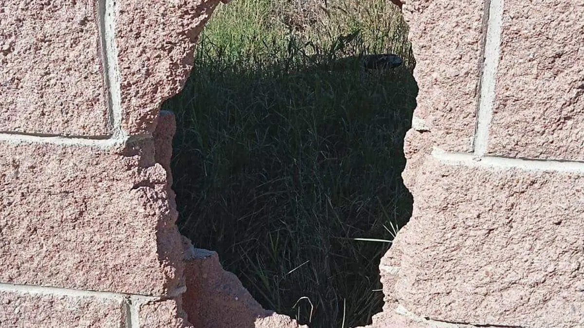 vandalismo