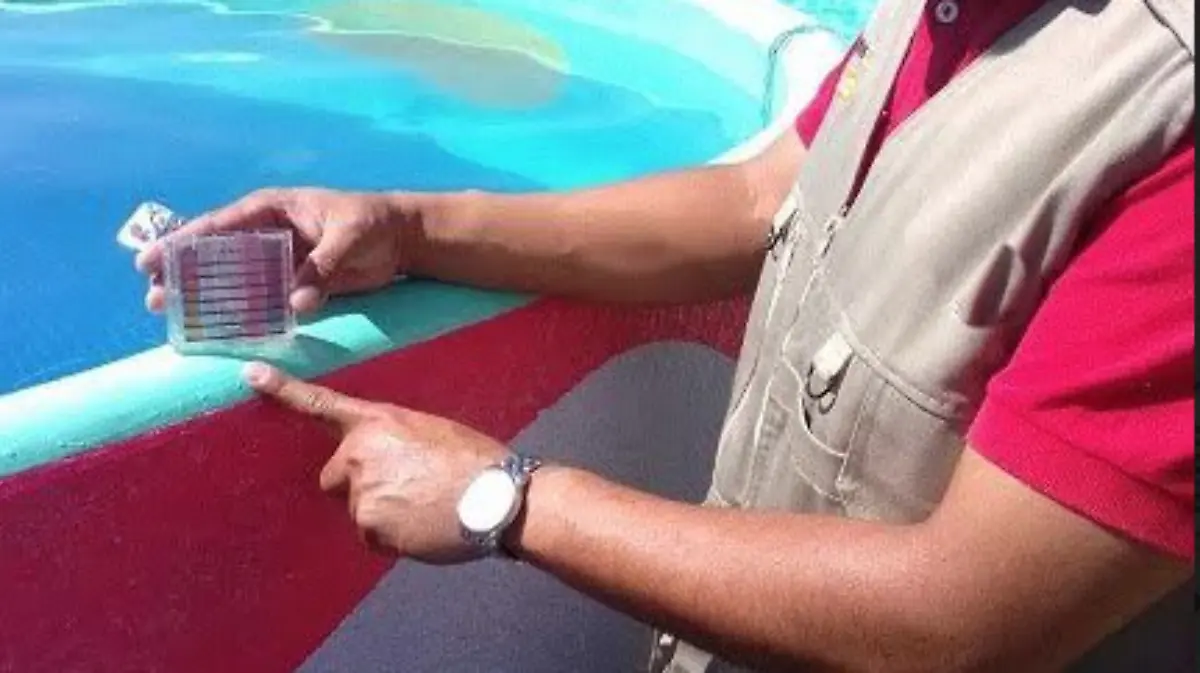 Captura de Pantalla 2019-07-24 a la(s) 12.20.58