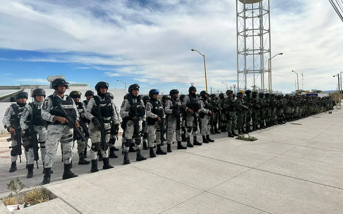 WhatsApp Image 2023-03-24 at 6.07.45 PM (1)