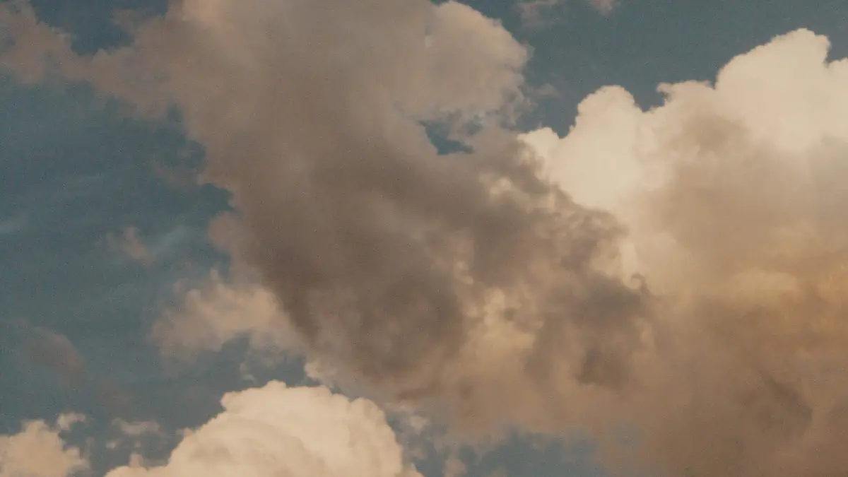 pexels-swapnil-sharma-2569471