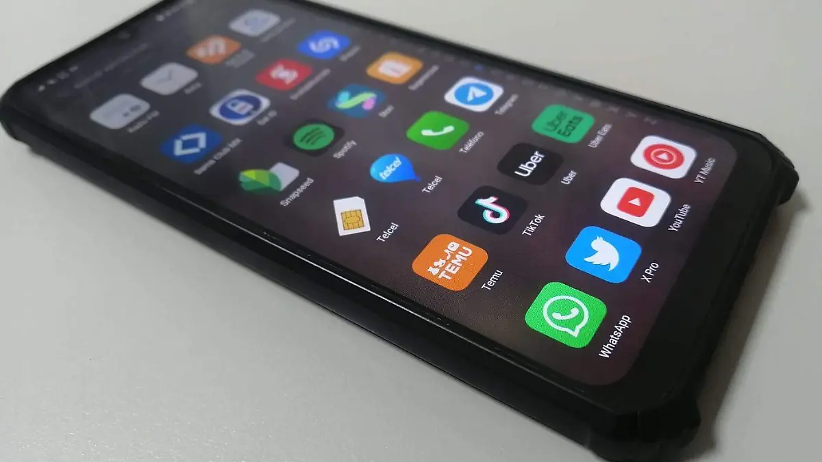 WhatsApp Image 2023-11-21 at 5.51.39 PM