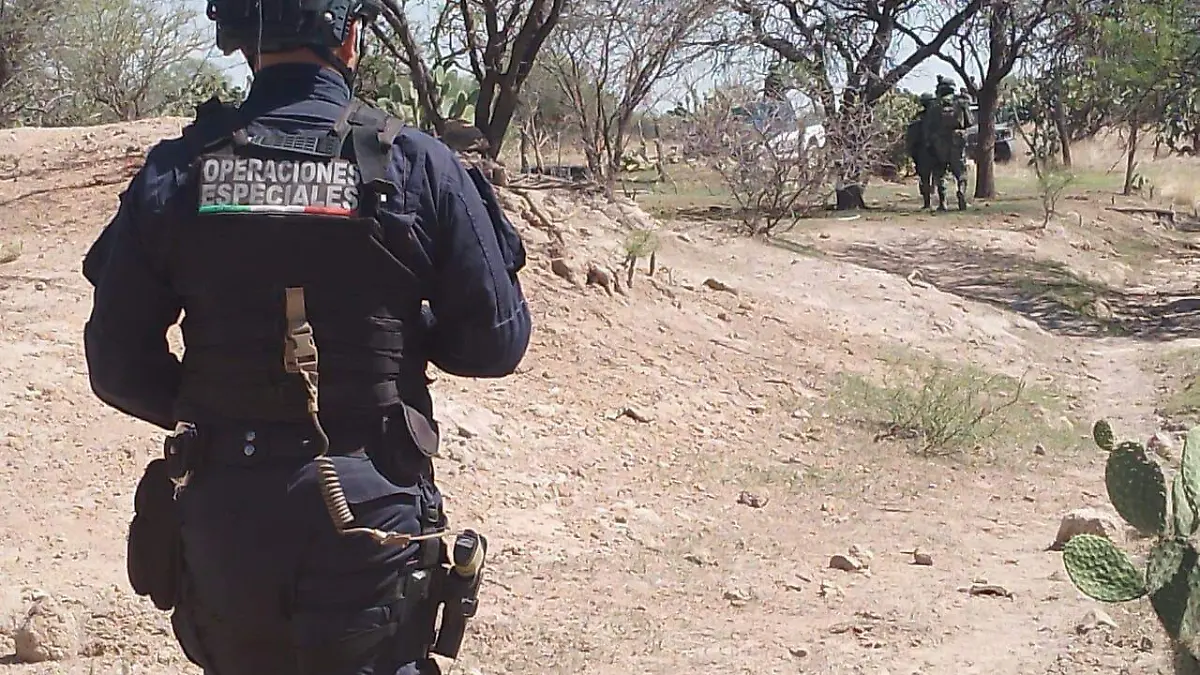 WhatsApp-Image-2023-08-18-at-1.29.36-PM-2