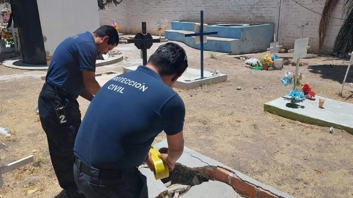 WhatsApp Image 2023-05-10 at 9.41.23 AM