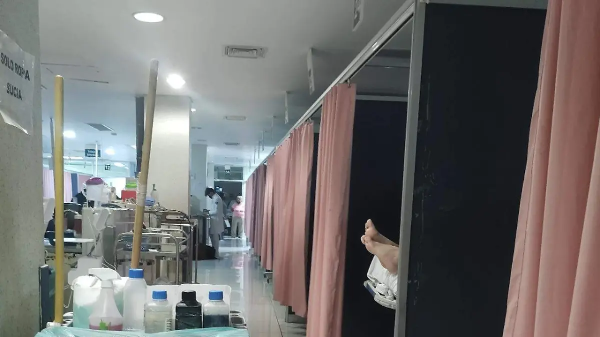 WhatsApp Image 2022-12-13 at 12.50.55