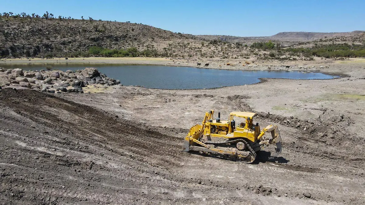 WhatsApp Image 2023-11-30 at 16.46.41 (1)