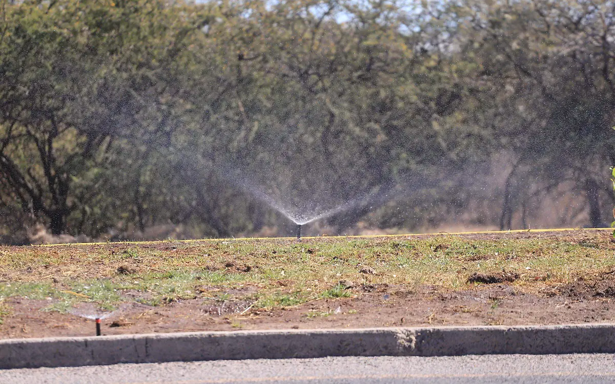 20230116122941_IMG_4404