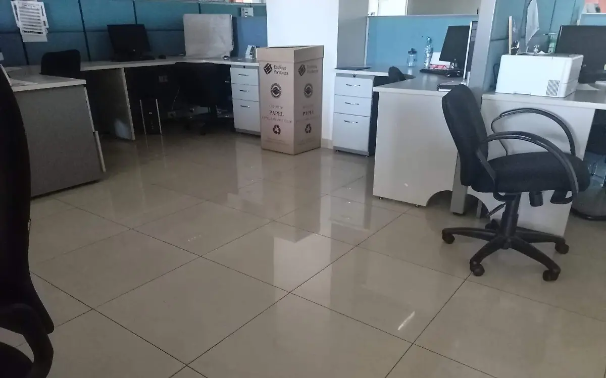 WhatsApp Image 2023-04-08 at 11.03.06 AM