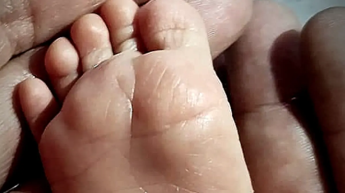 Captura de pantalla 2024-01-01 a la(s) 09.55.17