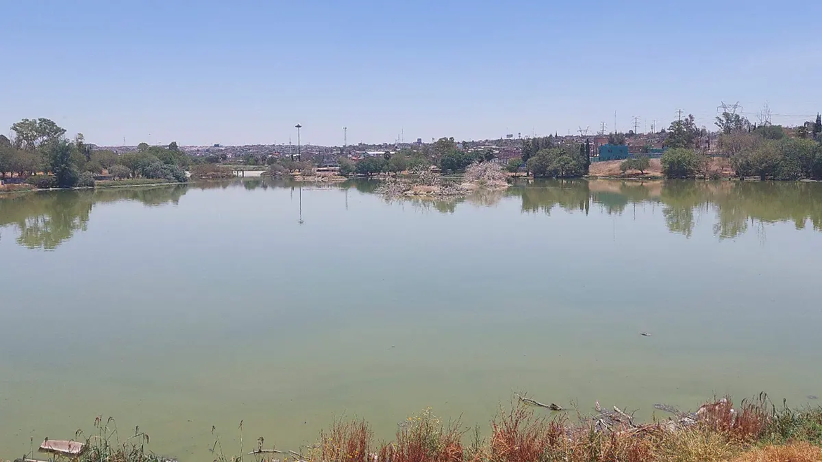 20230524_124316-scaled