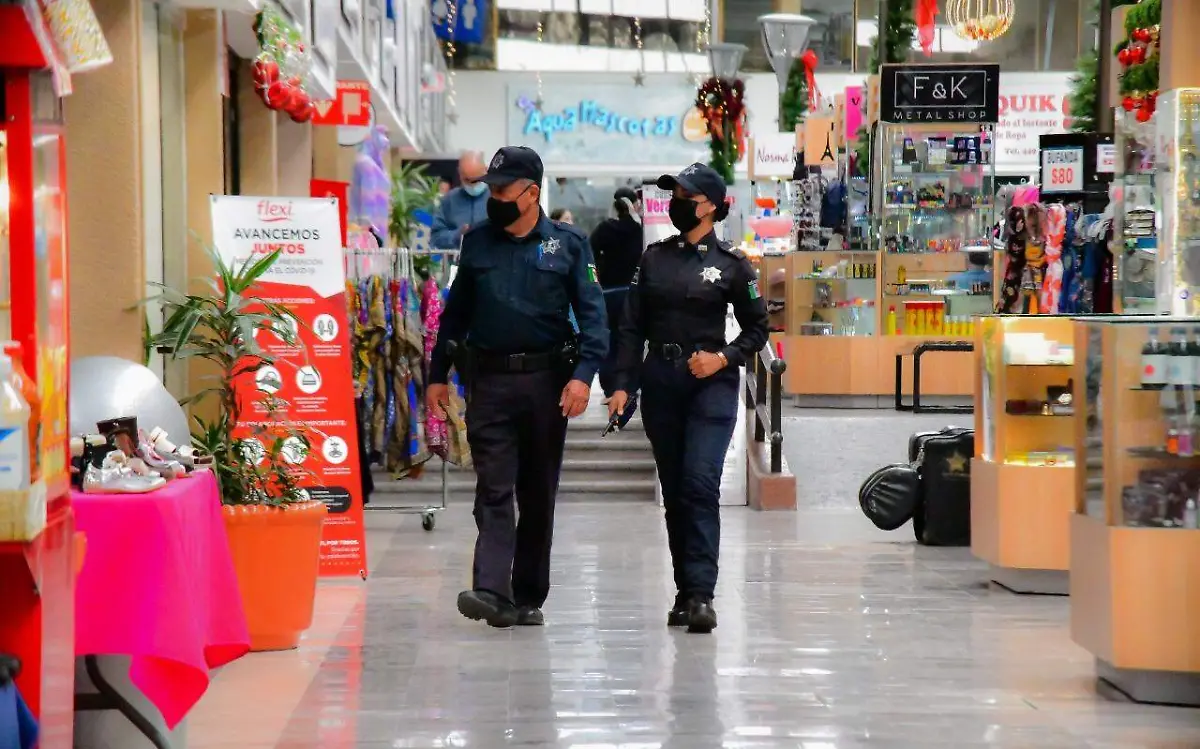seguridad plaza