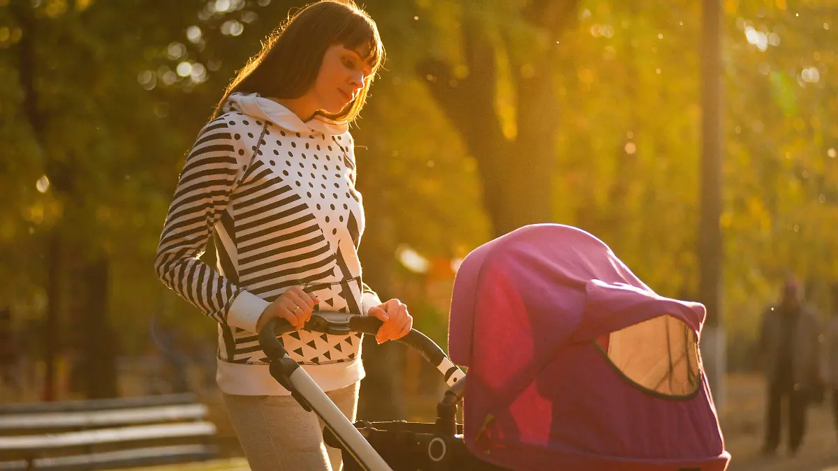 pexels-oleksandr-pidvalnyi-1007788