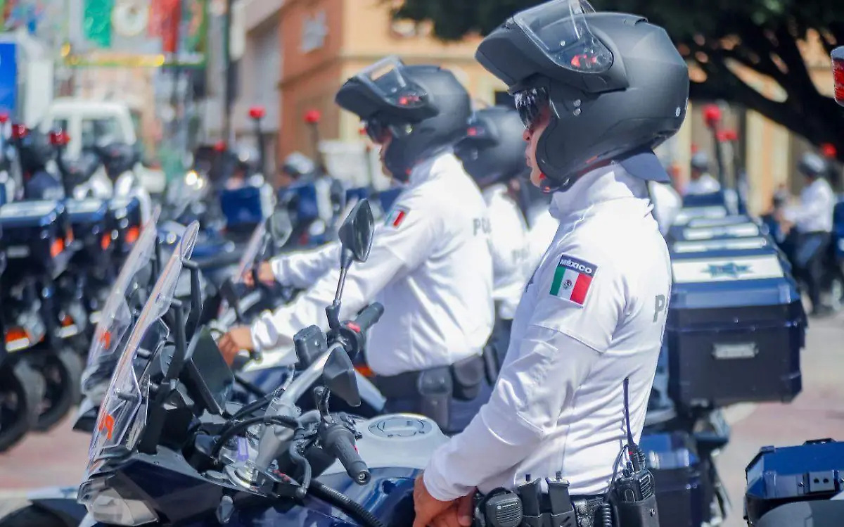 MPIO_SEGURIDAD (2)
