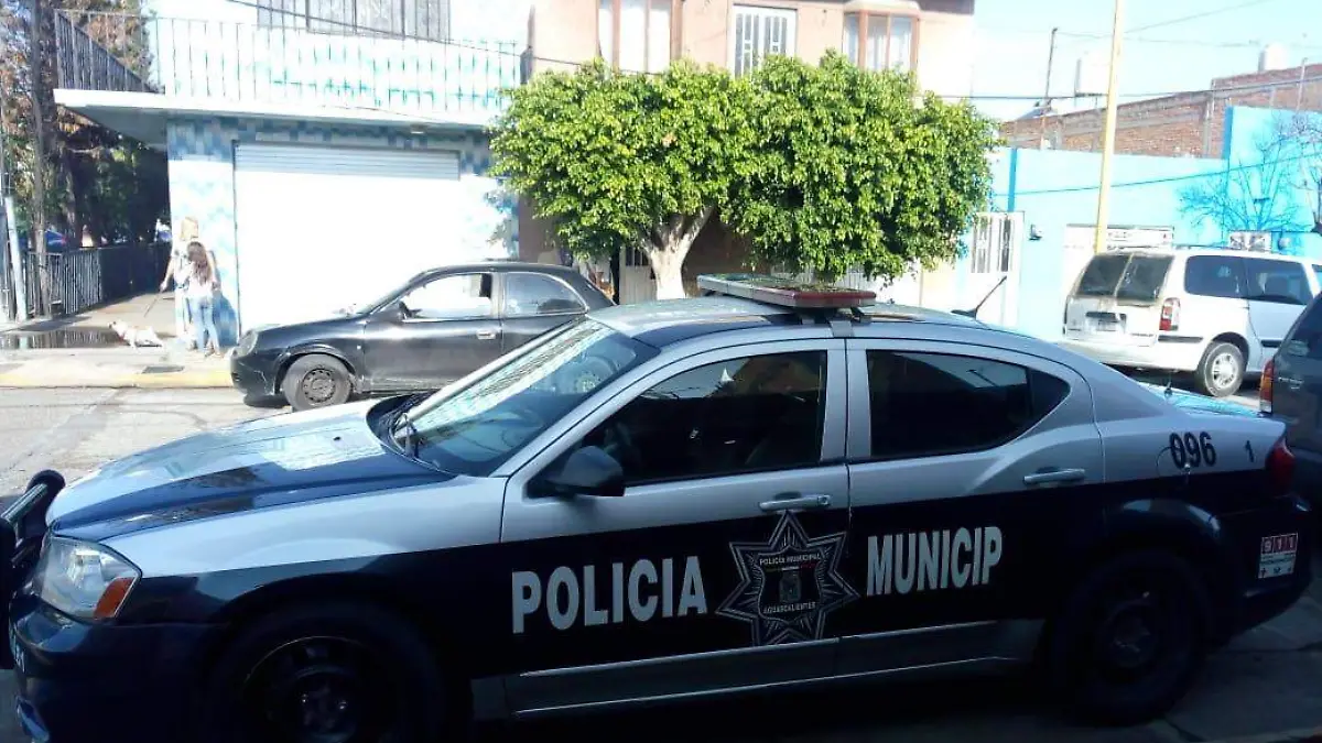 policiaca2