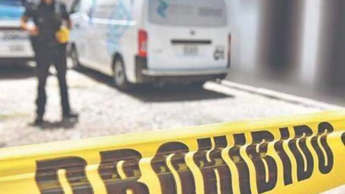 WhatsApp Image 2023-03-14 at 12.06.54 AM