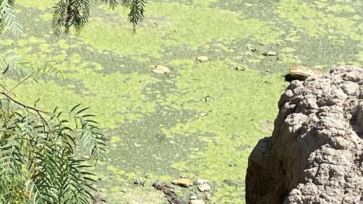 Captura de Pantalla 2023-05-25 a la(s) 16.41.17