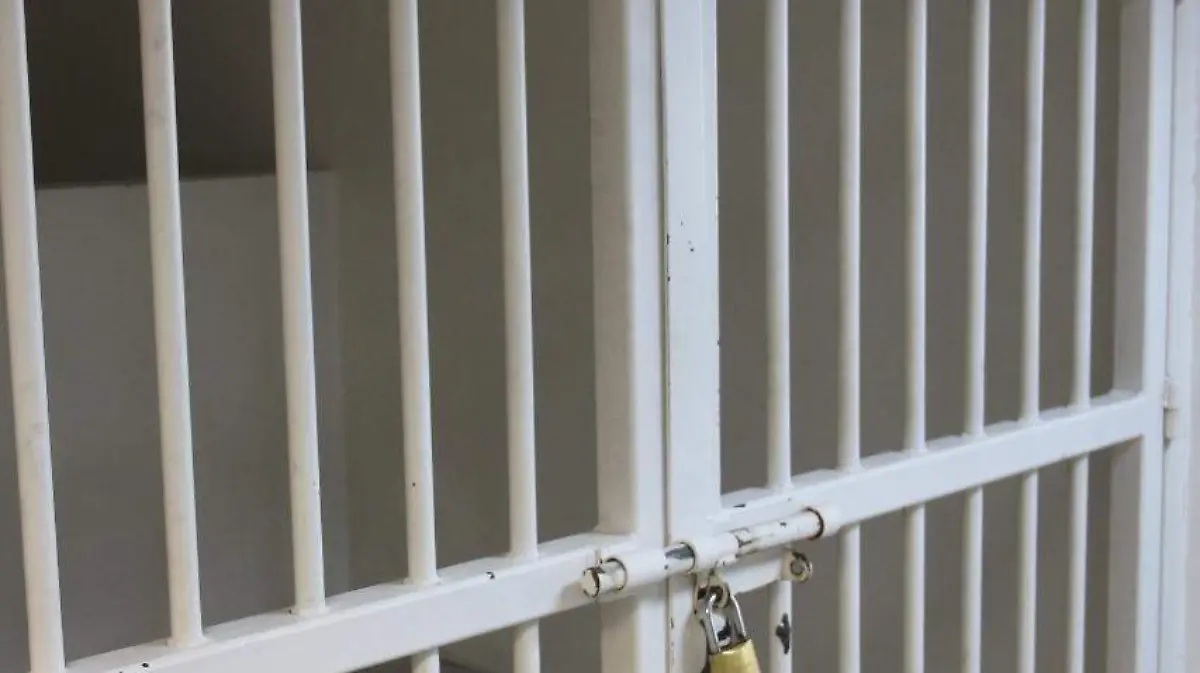 WhatsApp Image 2023-08-12 at 2.54.39 PM