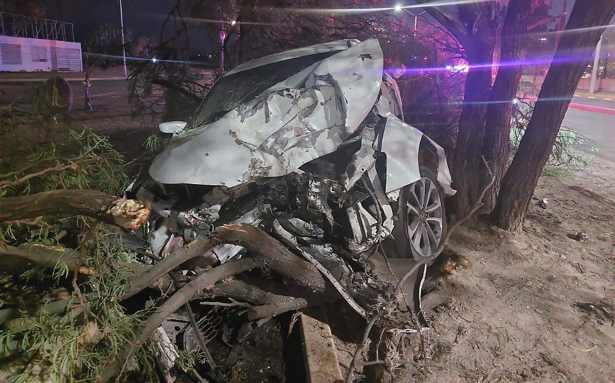 WhatsApp Image 2023-06-20 at 12.13.22 PM