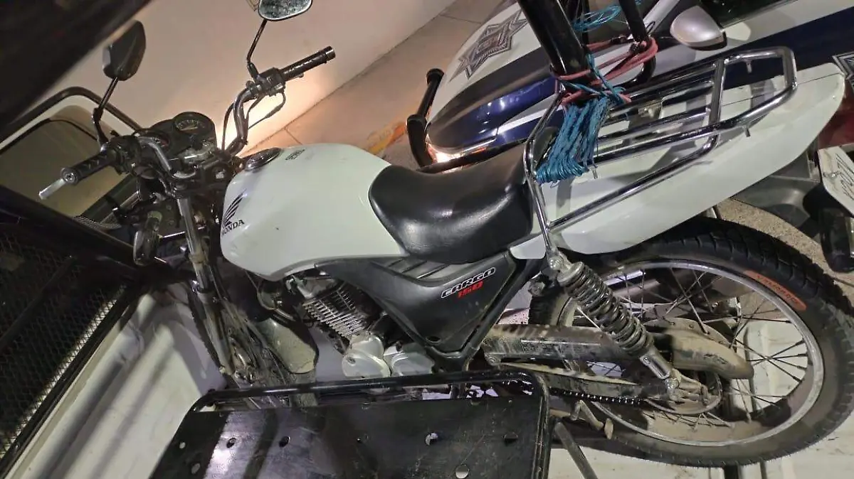 WhatsApp Image 2024-01-03 at 1.31.15 PM