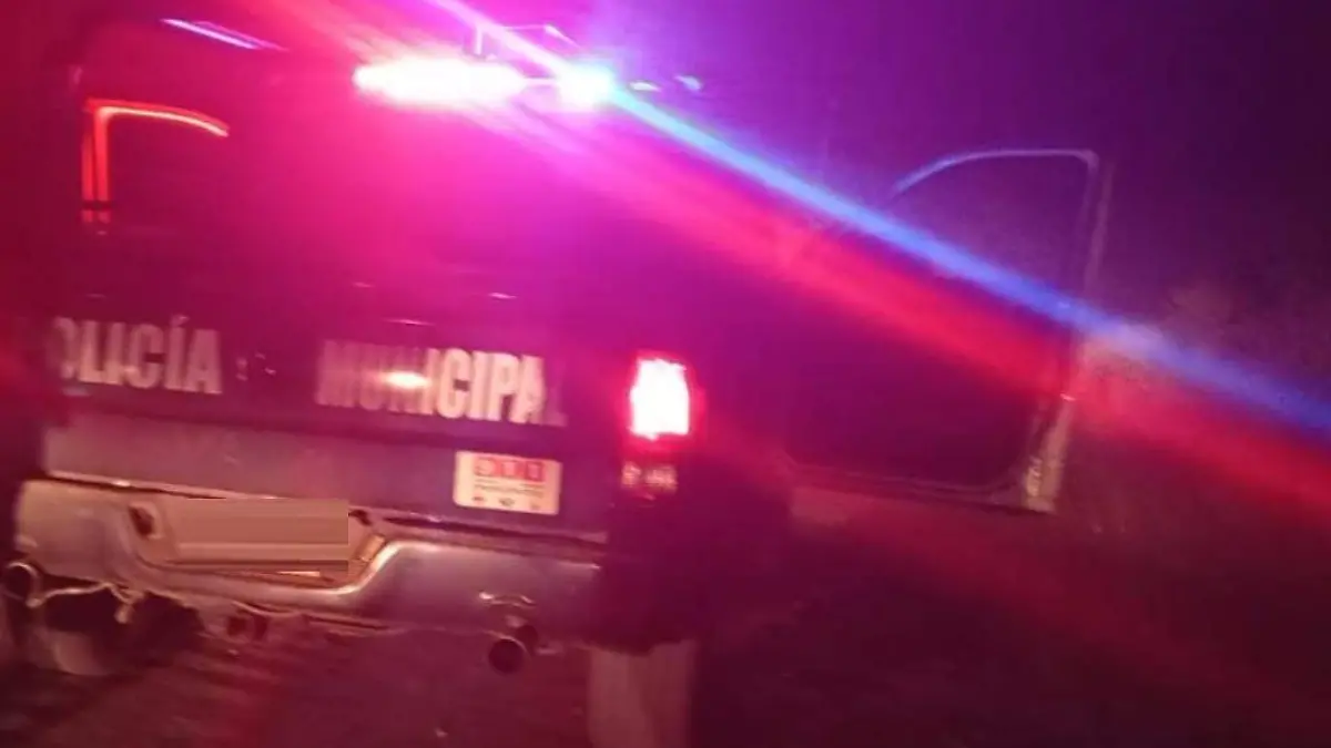 WhatsApp Image 2023-04-02 at 15.16.13