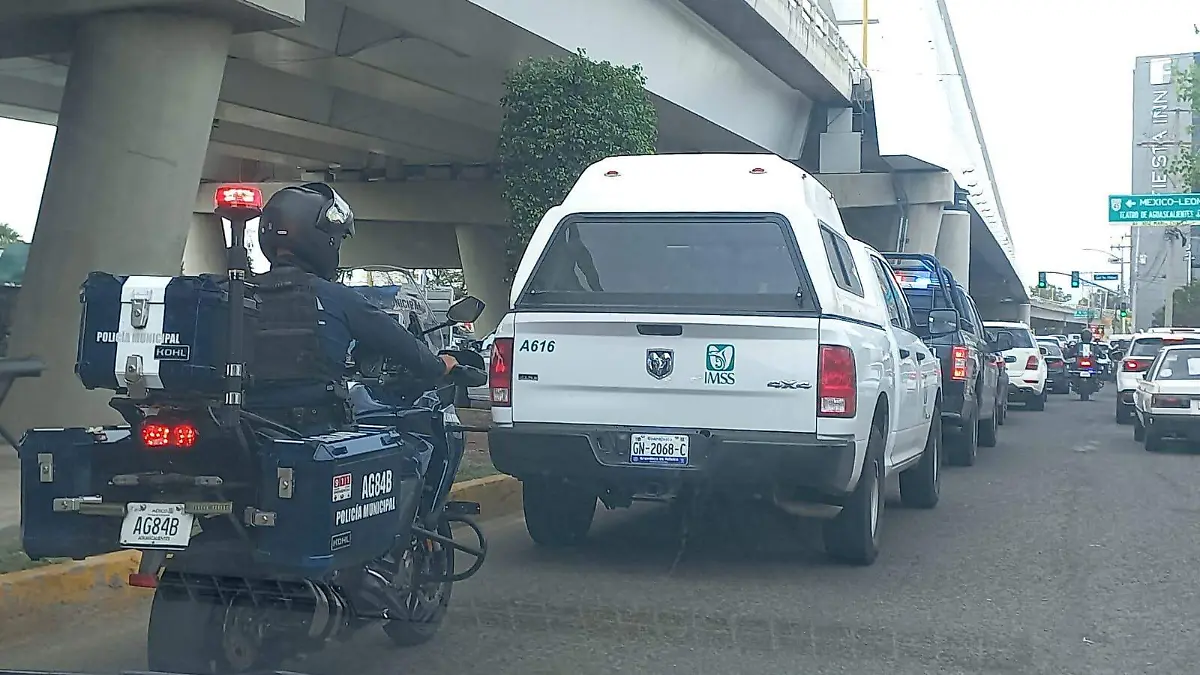 WhatsApp Image 2023-09-07 at 1.37.24 PM