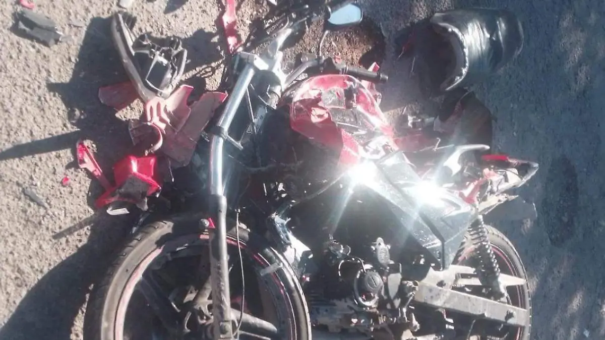 WhatsApp Image 2023-11-18 at 12.41.17 PM