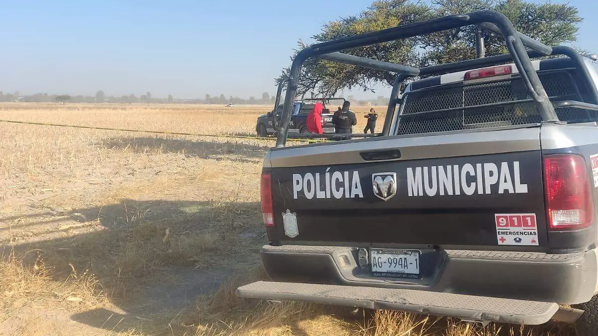 WhatsApp Image 2023-03-12 at 12.12.48 PM