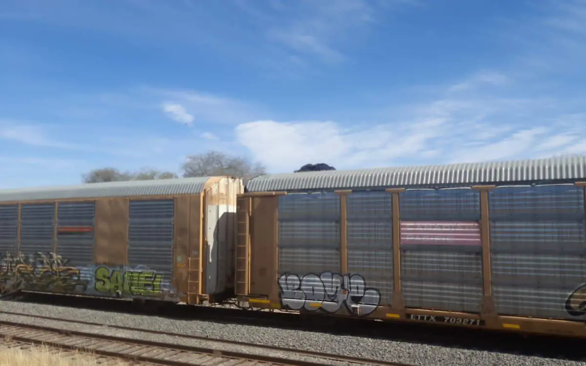 WhatsApp Image 2023-02-02 at 4.00.23 PM