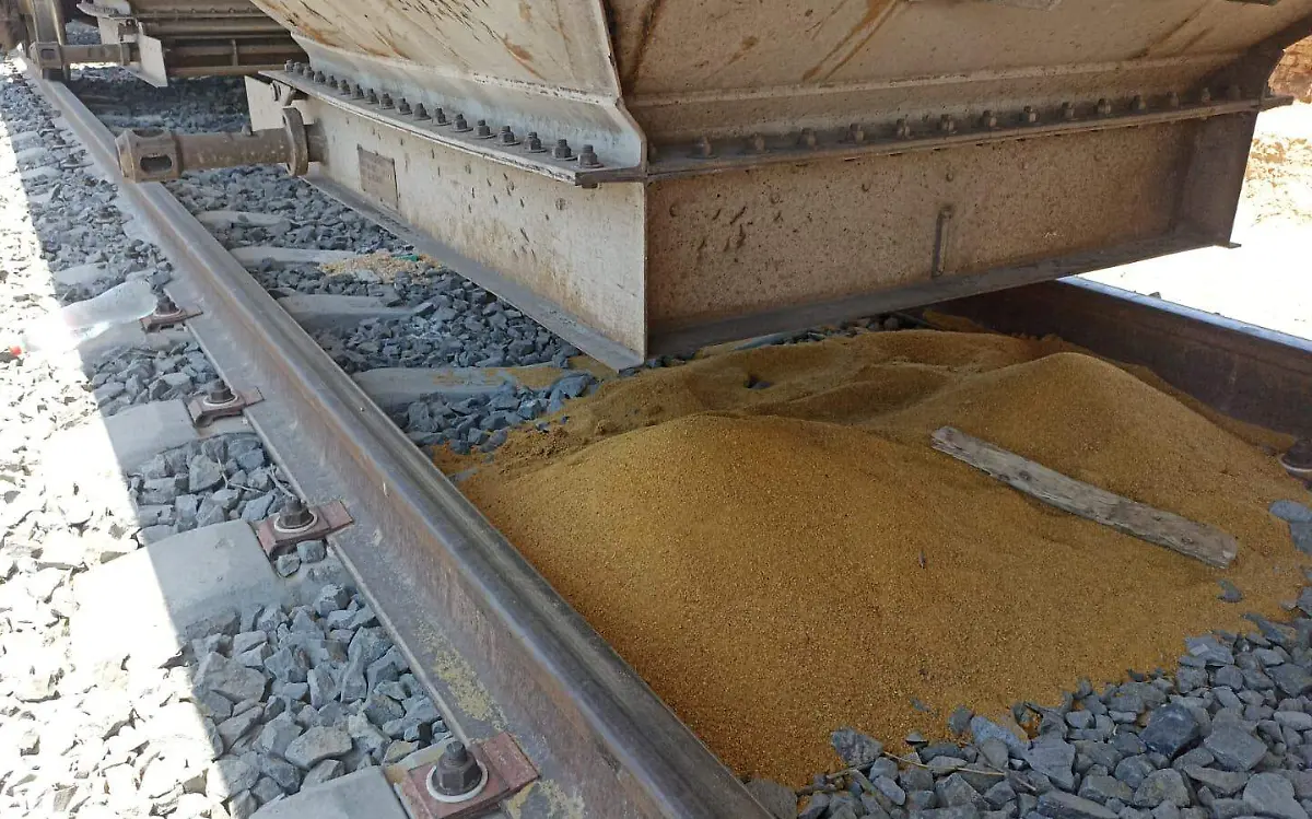 WhatsApp Image 2023-06-13 at 12.33.17 PM