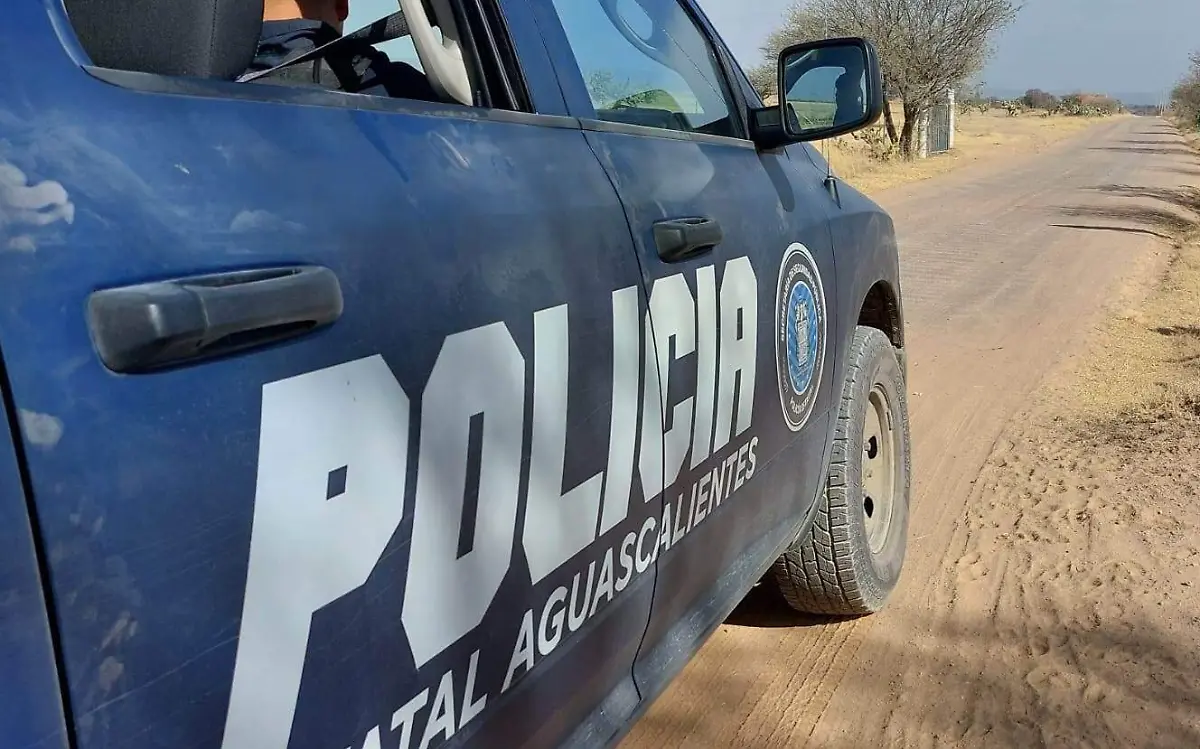 WhatsApp Image 2023-03-01 at 5.27.34 PM