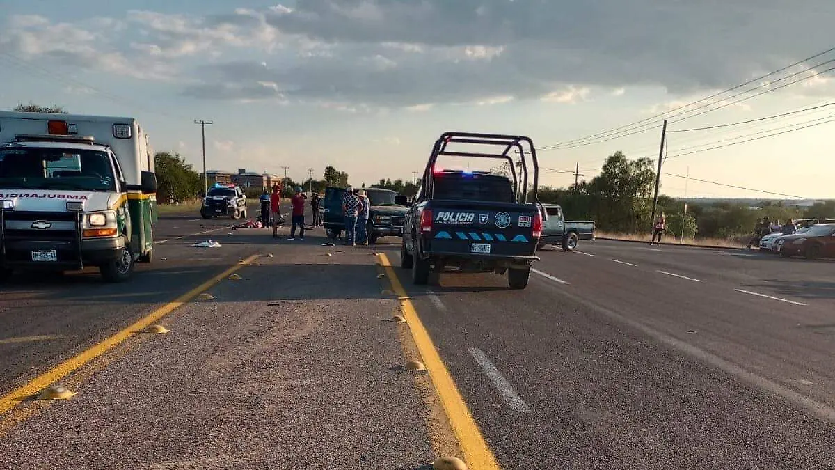 WhatsApp Image 2023-09-03 at 10.11.21 PM