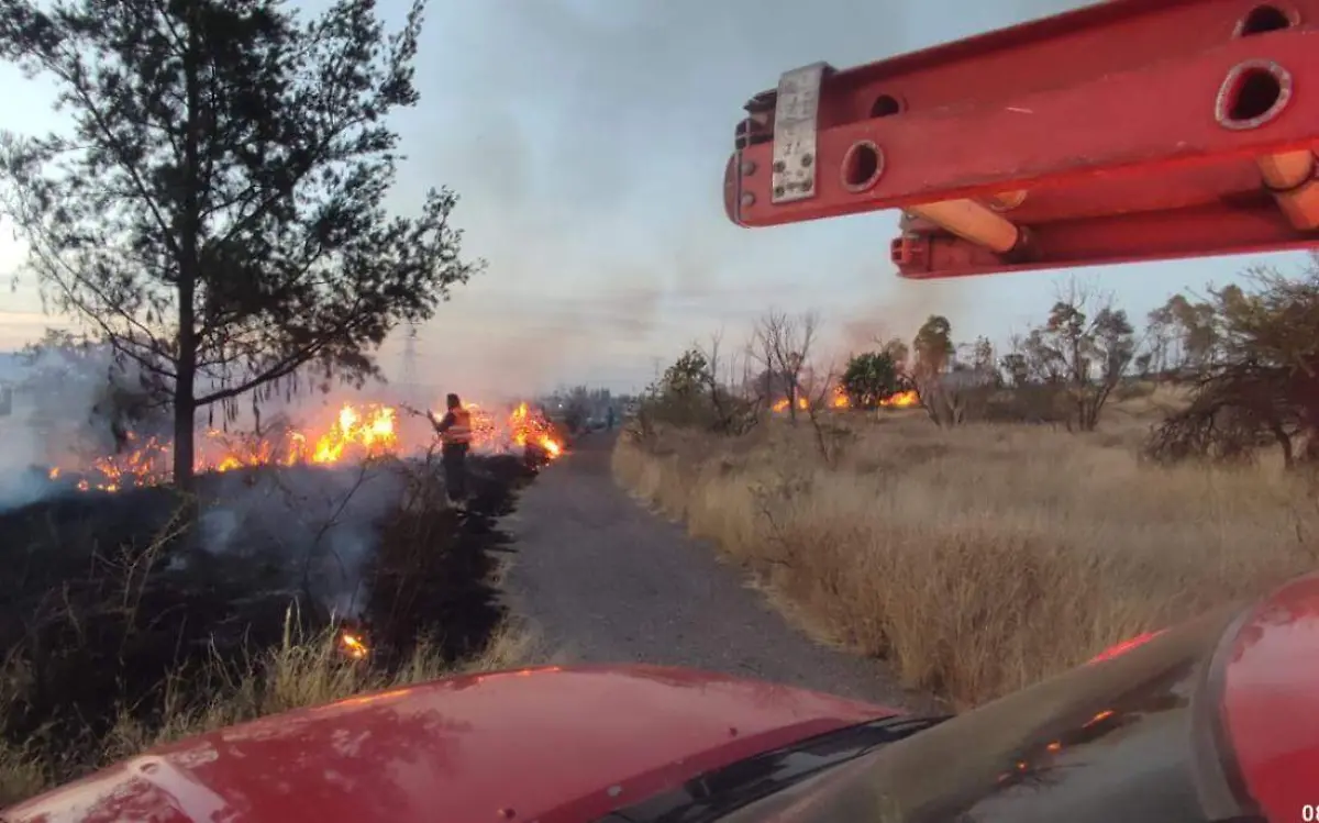 WhatsApp Image 2023-03-08 at 10.33.48 PM