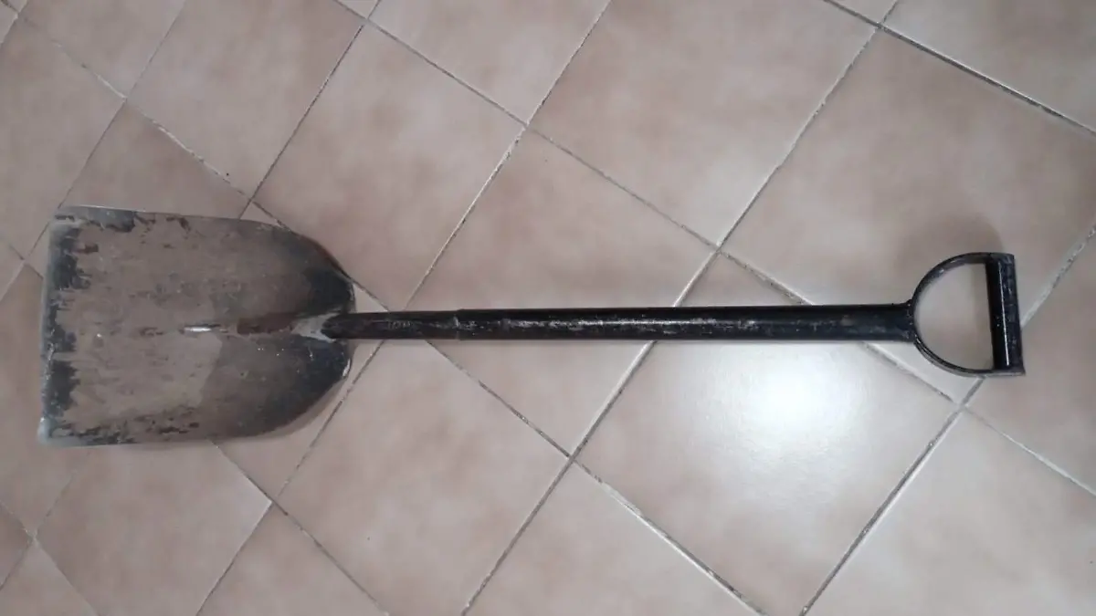 WhatsApp Image 2023-10-27 at 4.49.37 PM