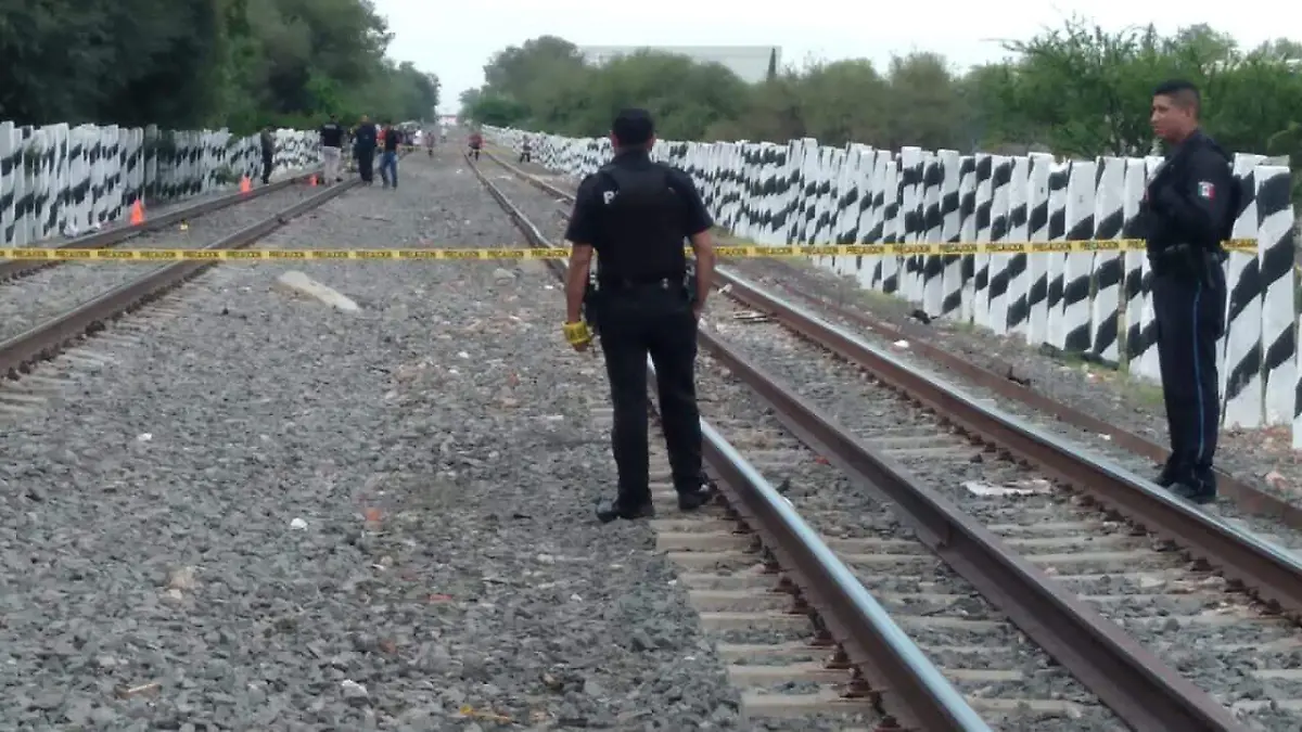 WhatsApp Image 2023-07-29 at 1.41.22 PM