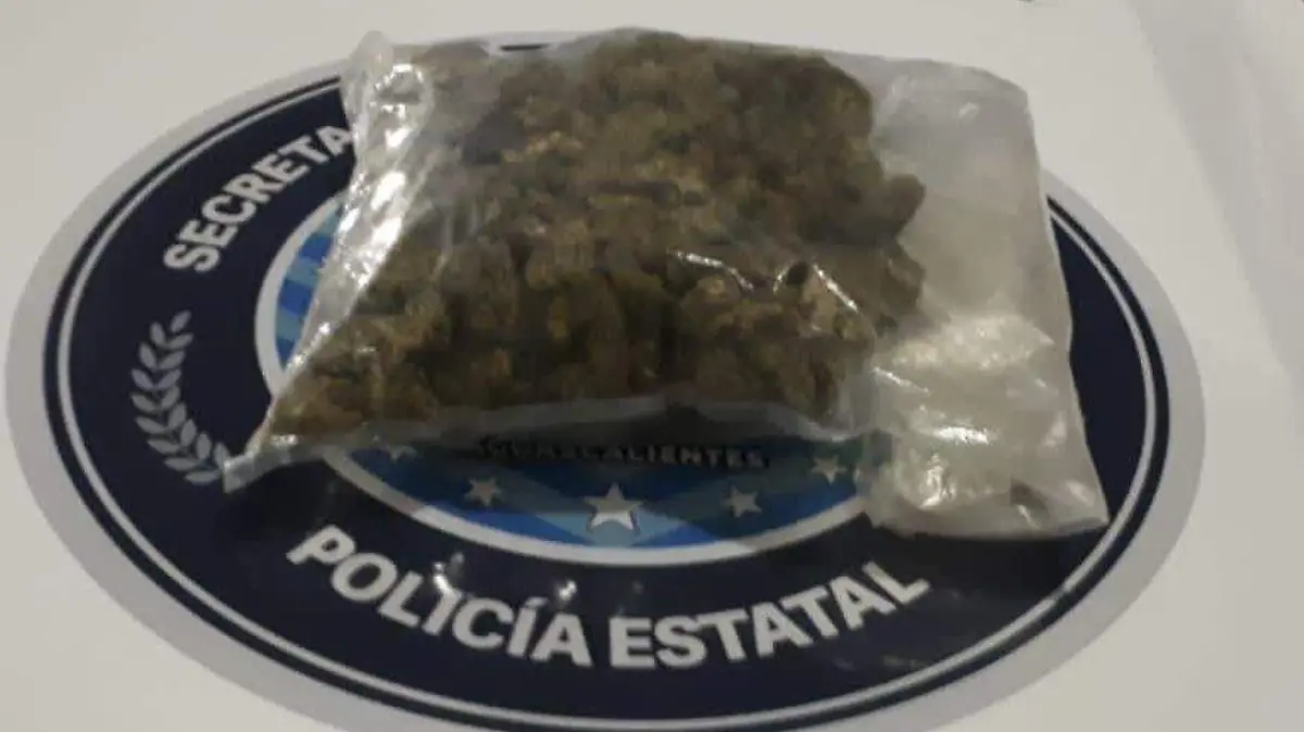 WhatsApp Image 2023-03-21 at 1.17.38 PM