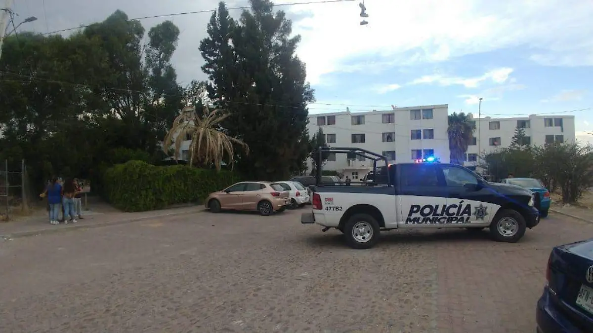 WhatsApp Image 2020-06-07 at 21.38.08