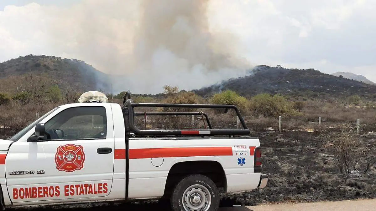 WhatsApp Image 2020-06-08 at 13.09.24