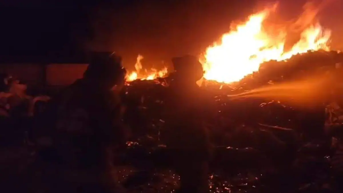 WhatsApp Image 2024-01-03 at 7.55.22 AM