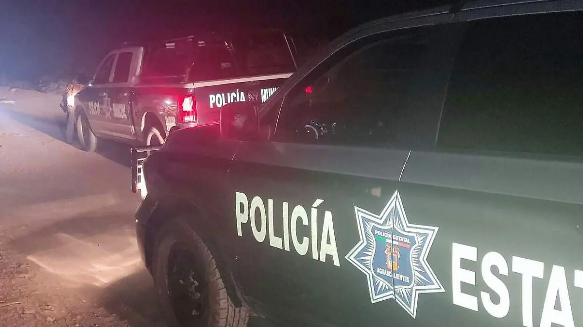 WhatsApp Image 2023-08-05 at 1.56.29 PM