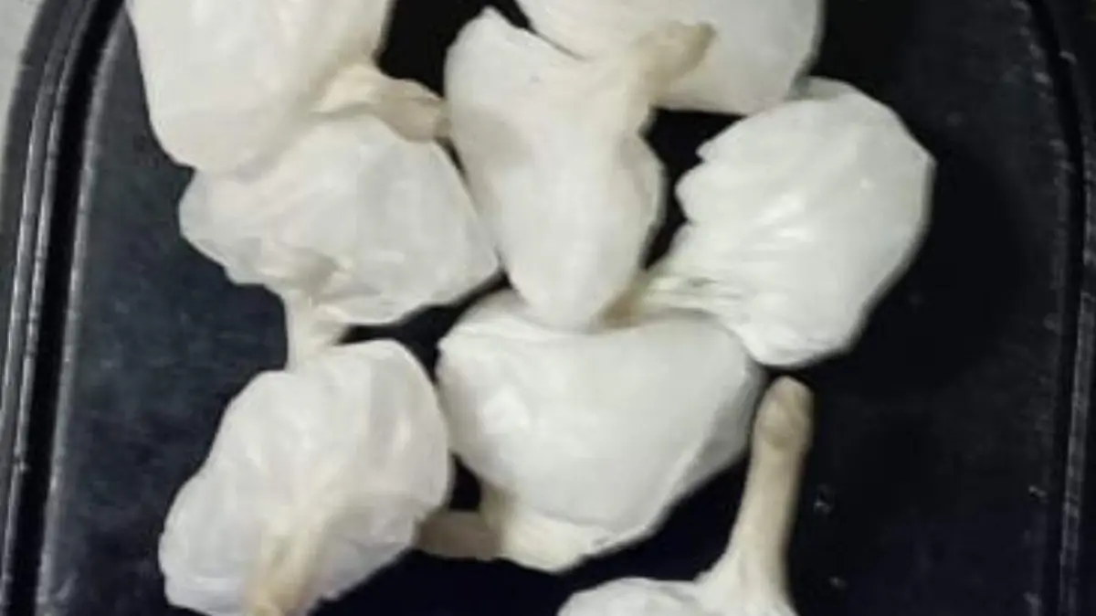 WhatsApp Image 2023-05-18 at 1.49.29 PM