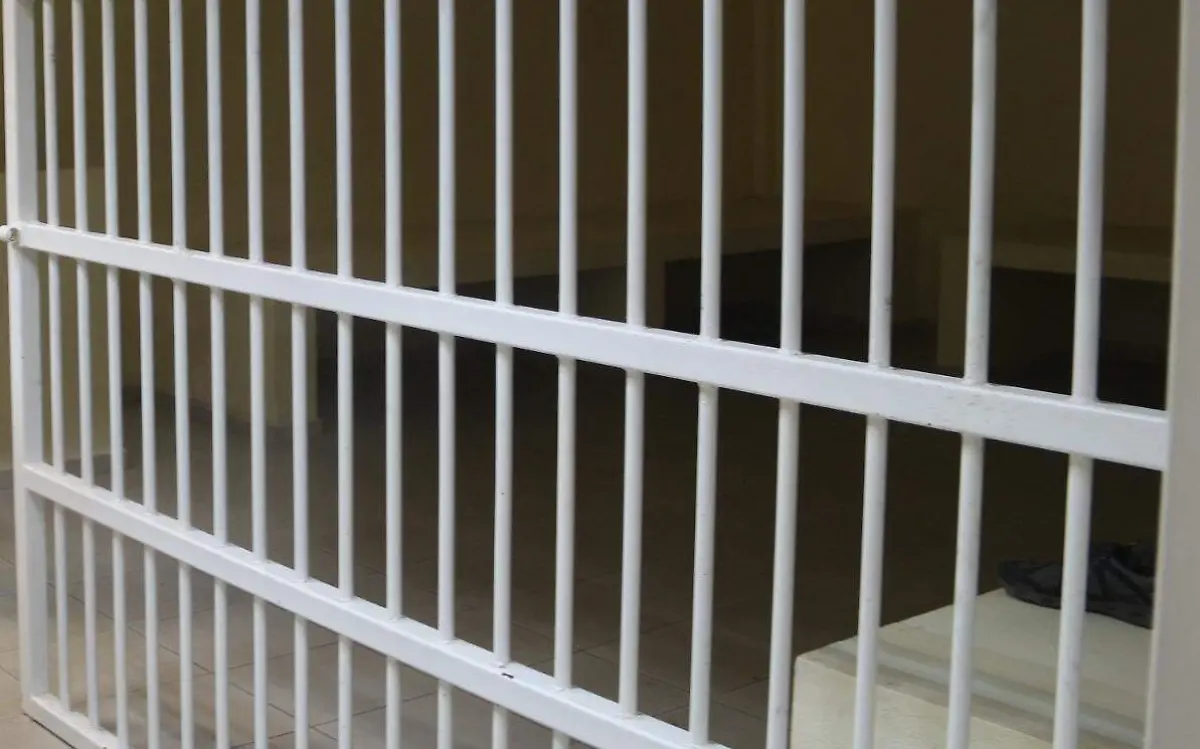 WhatsApp Image 2022-11-28 at 4.55.26 PM