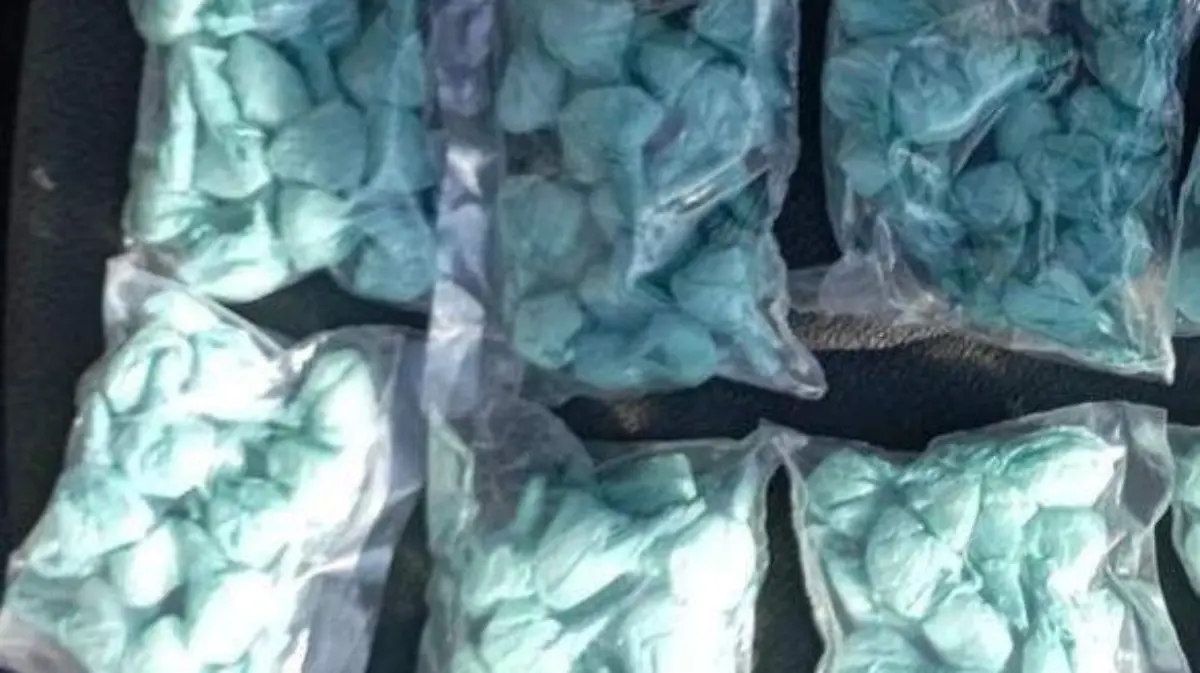 WhatsApp Image 2022-11-18 at 4.11.07 PM