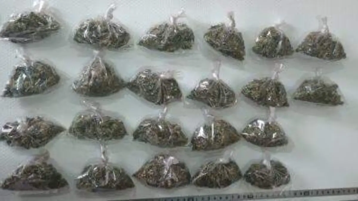 WhatsApp Image 2023-12-27 at 12.56.20 PM