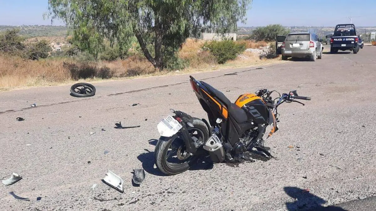 WhatsApp Image 2022-12-08 at 15.51.22