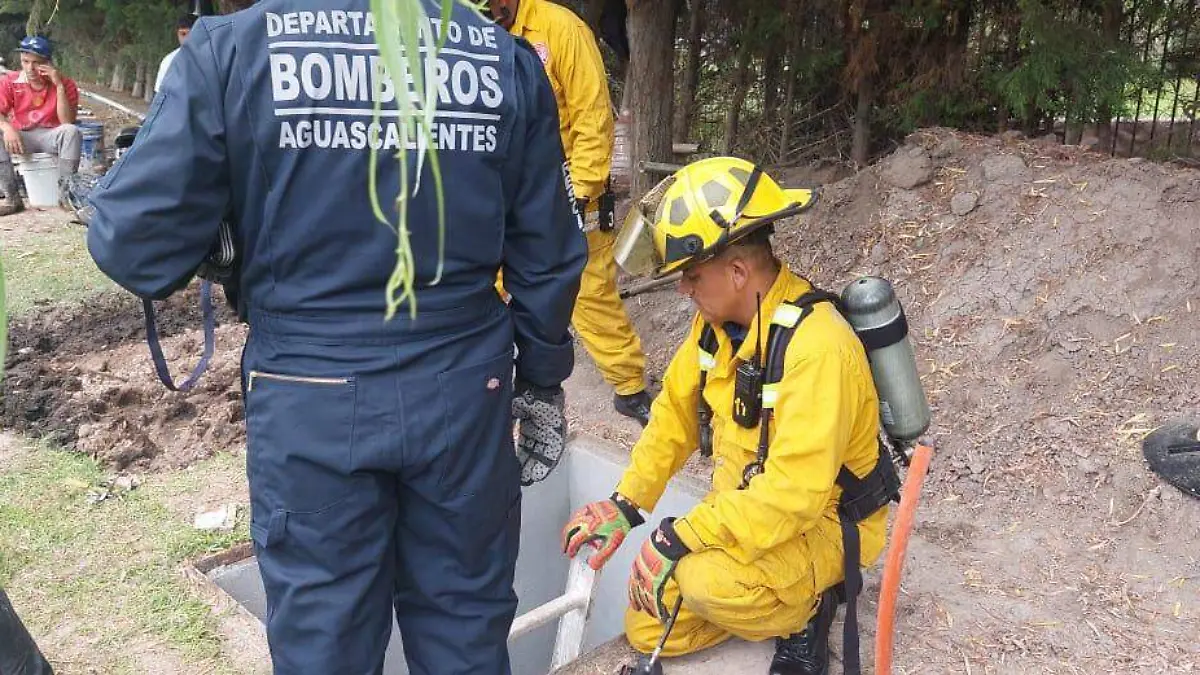 WhatsApp Image 2023-07-06 at 3.52.51 PM