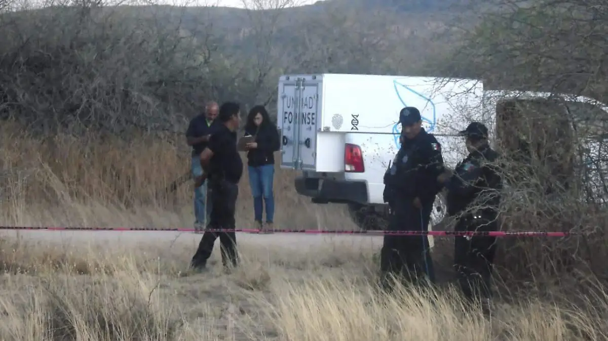 WhatsApp Image 2023-03-03 at 10.12.26 PM