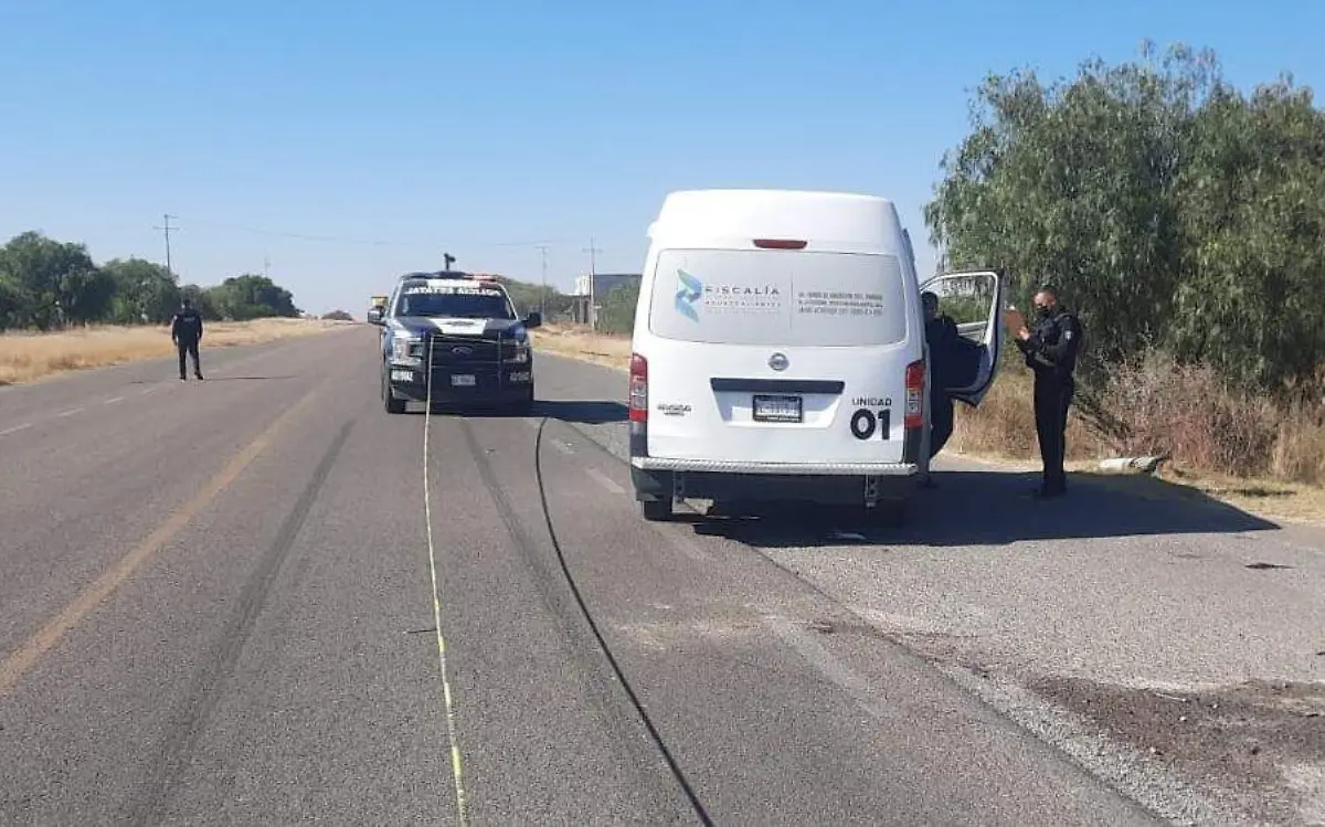 WhatsApp Image 2022-12-21 at 5.05.11 PM