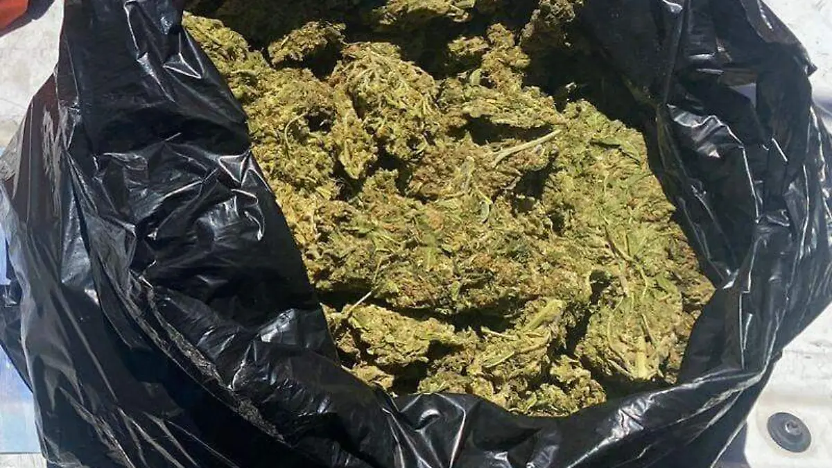 WhatsApp Image 2023-05-13 at 2.02.29 PM